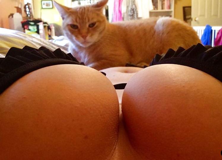 25P Funny pics found on the web