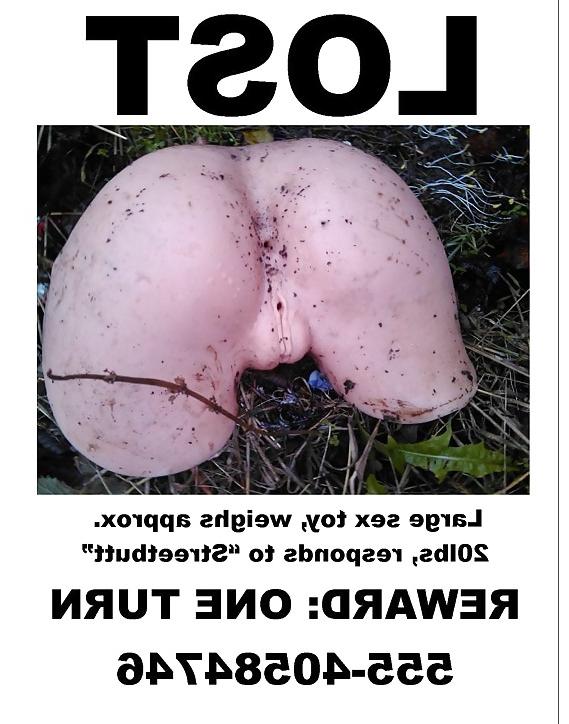 25P Funny pics found on the web 3