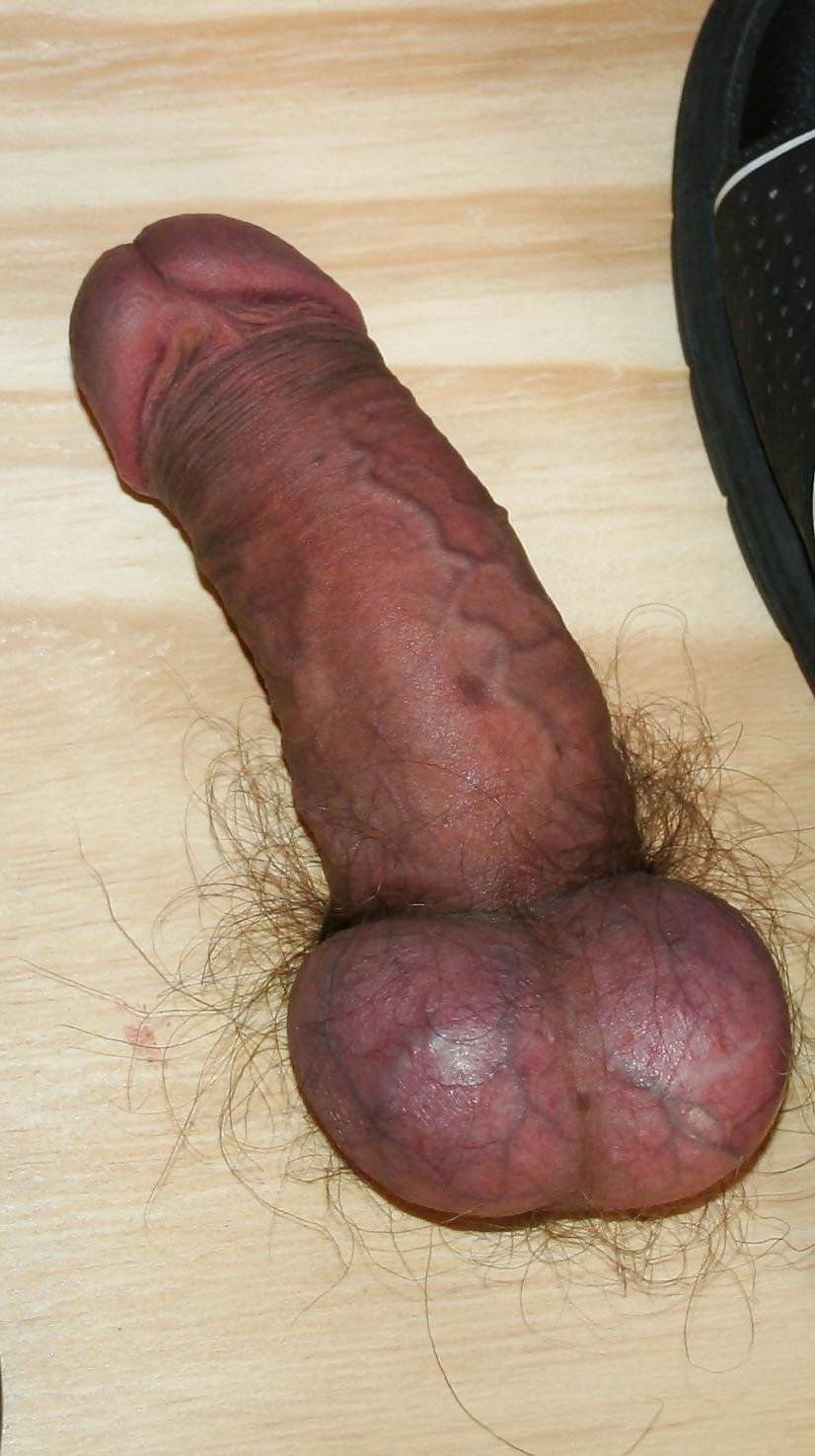 25P Cock crushed, flattened, trampled by mistress feet