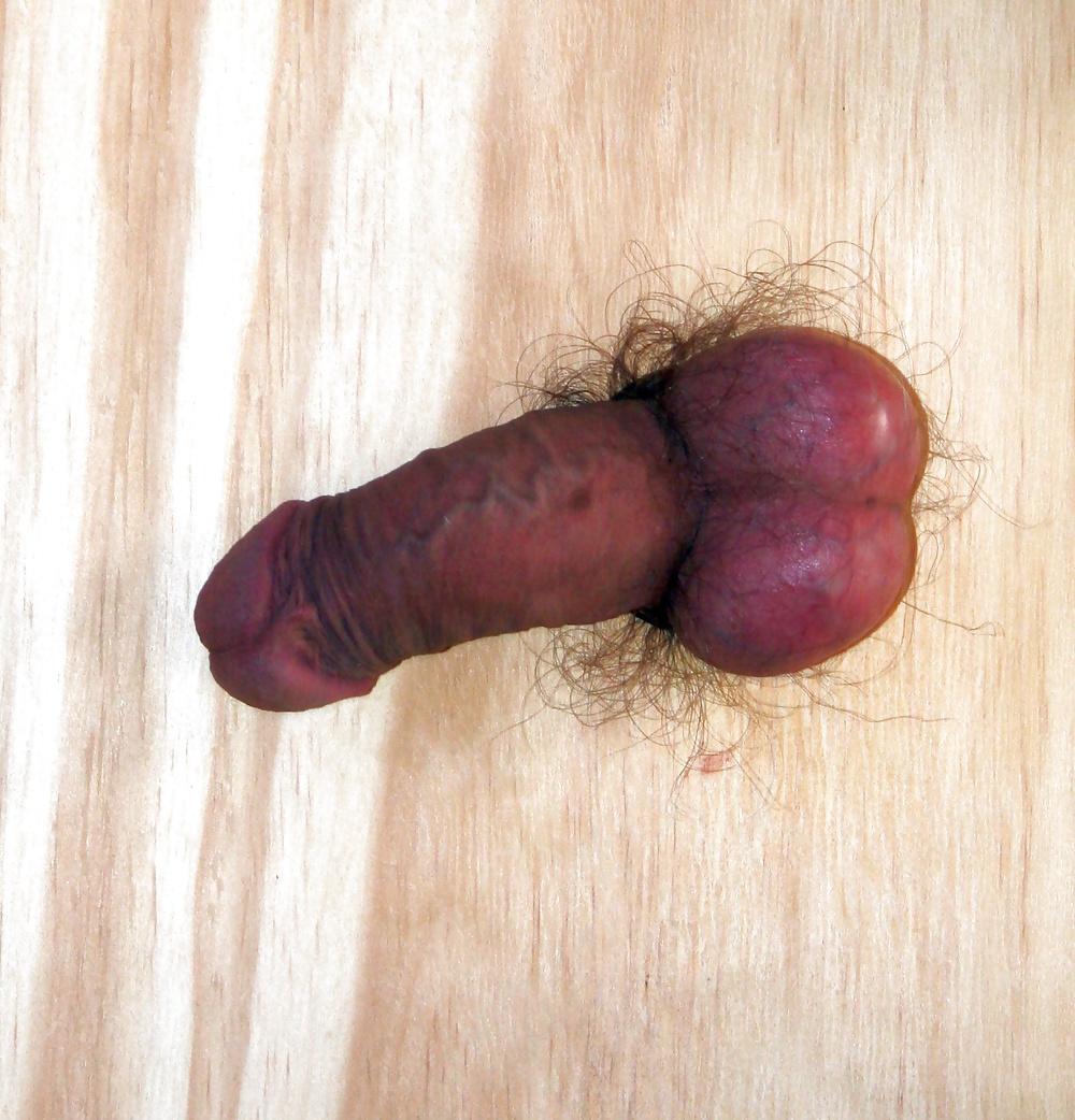 25P Cock crushed, flattened, trampled by mistress feet