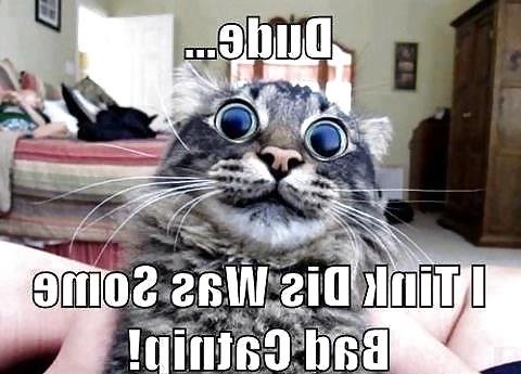 25P Funny tags