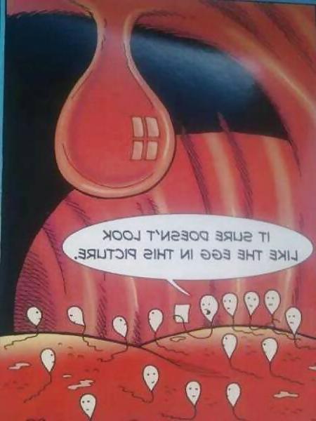 25P Funny tags