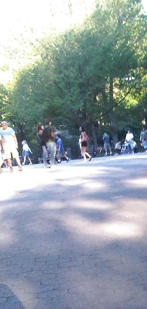 6P Central Park