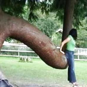 11P Funny Pics 3