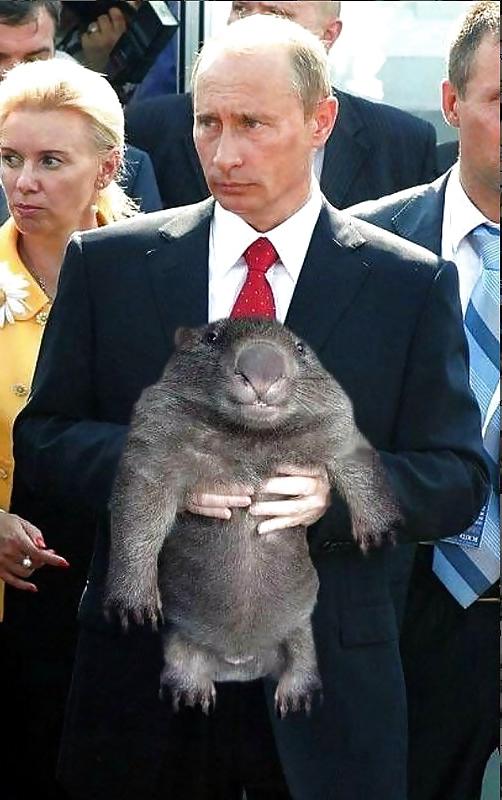 16P Funny Photos-num-001