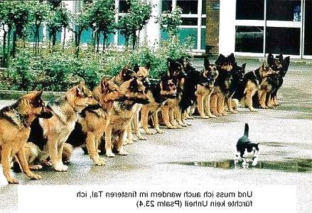 19P ...more funny stuff !!!