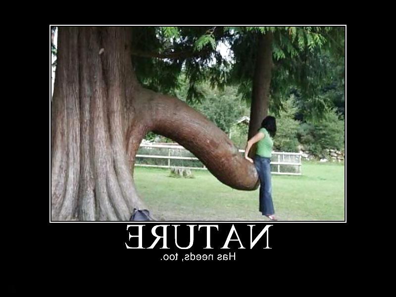 25P Funny Stuff Off The internet Tubes - Vol. 13