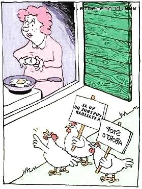 25P Funny Images