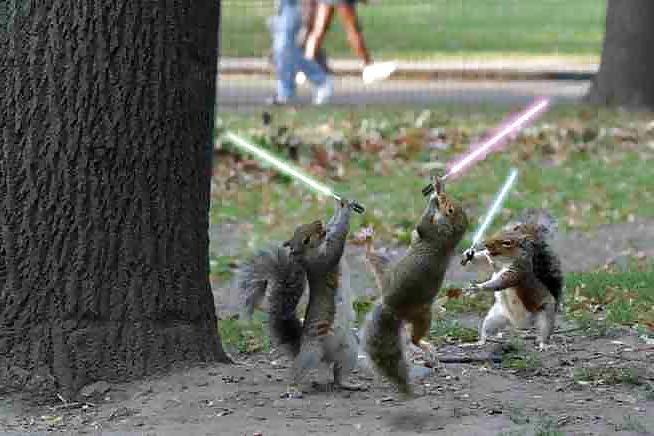 25P Funny Images