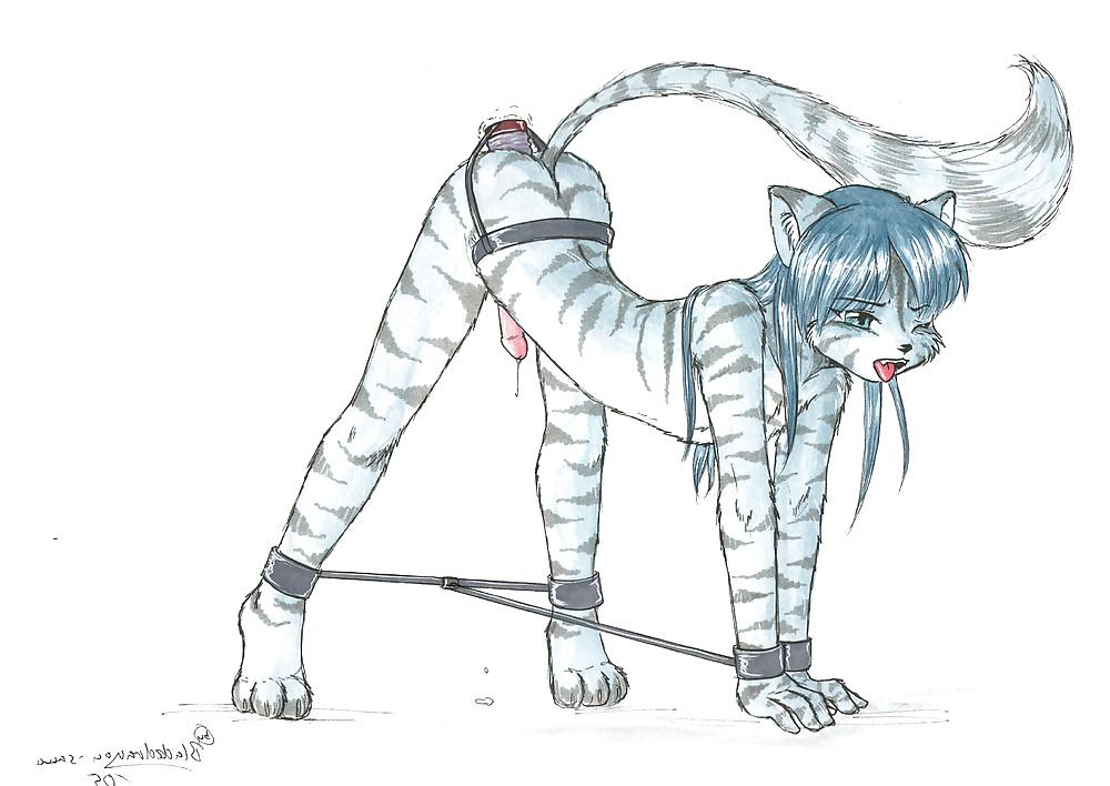 25P Pics for the furry lovers  :-)