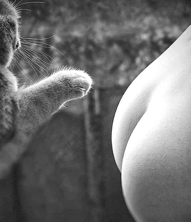 25P Funny pics found on the web 12