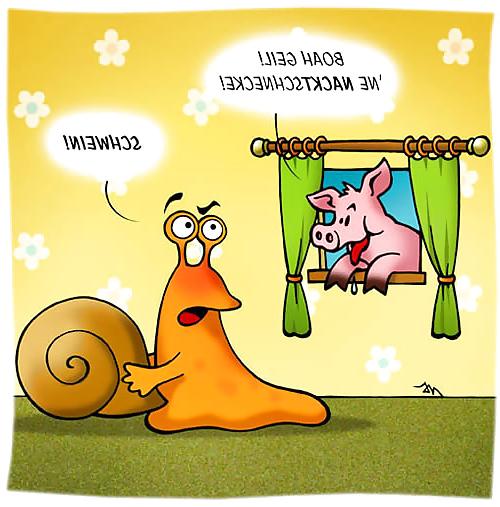 24P Lustig funny