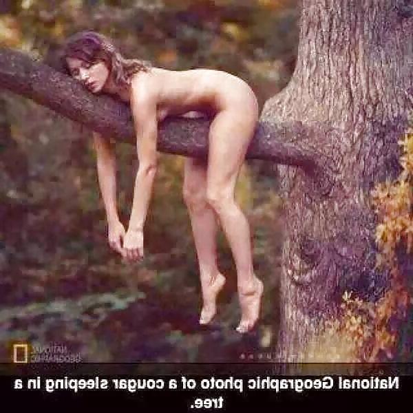 13P FUNNY N SEXY 