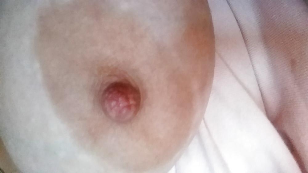 14P Breast Lovers Dream-Fabulous Elle! 