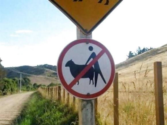 15P Funny stuff. A lighthearted giggle.
