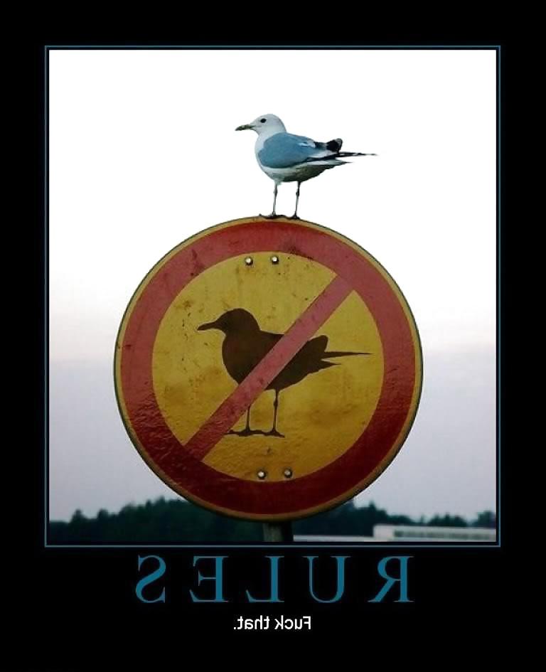 15P Funny stuff. A lighthearted giggle.
