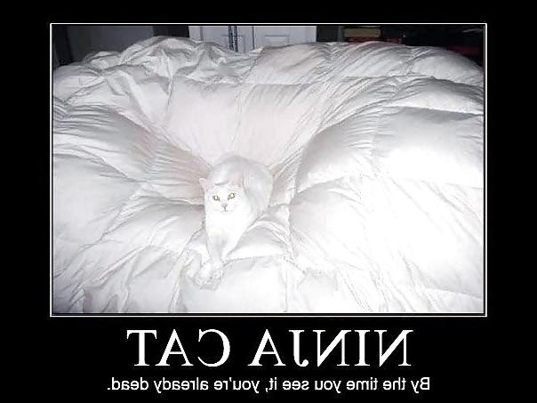 15P Funny stuff. A lighthearted giggle.