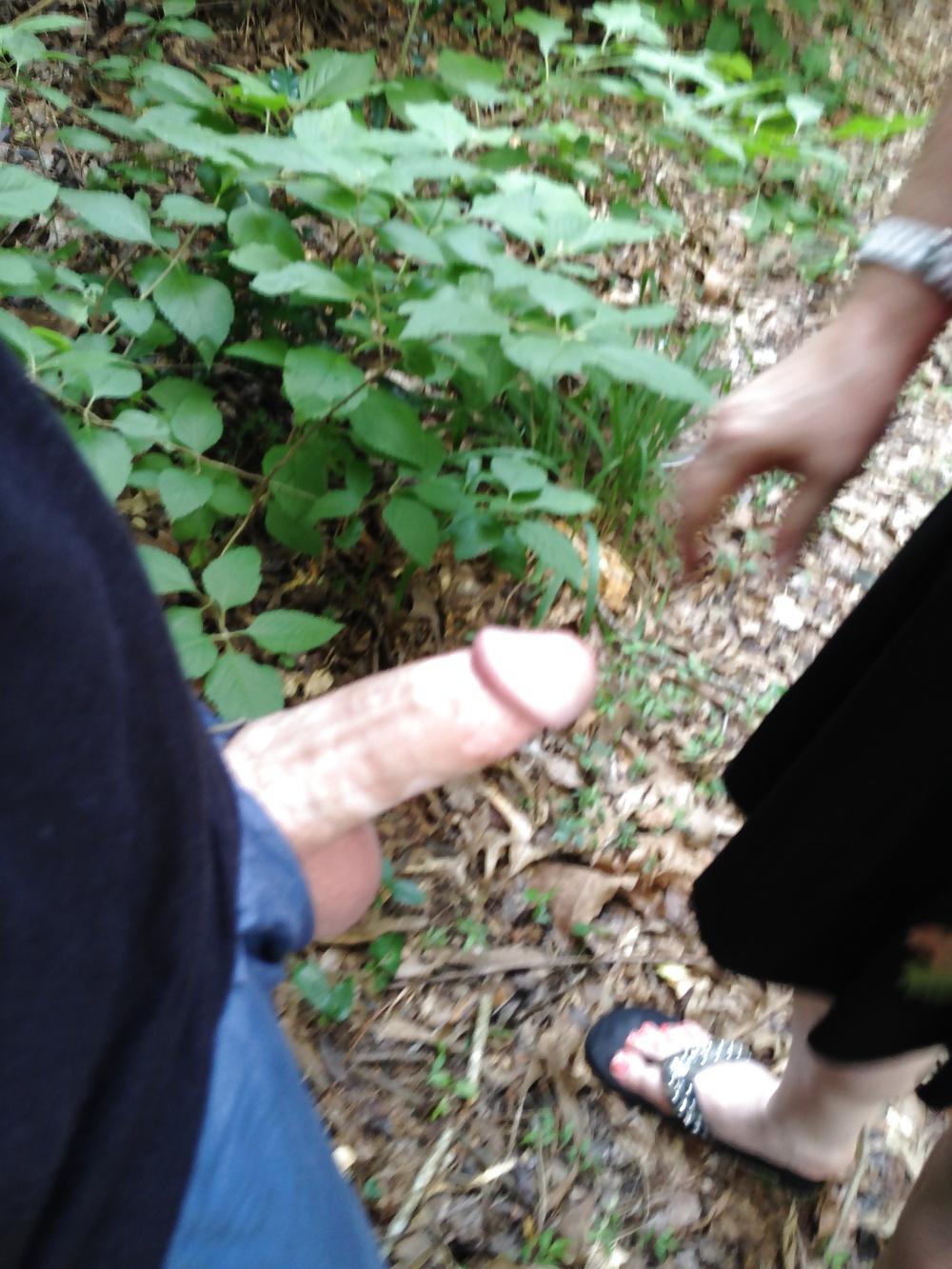 25P More of our walk in the park