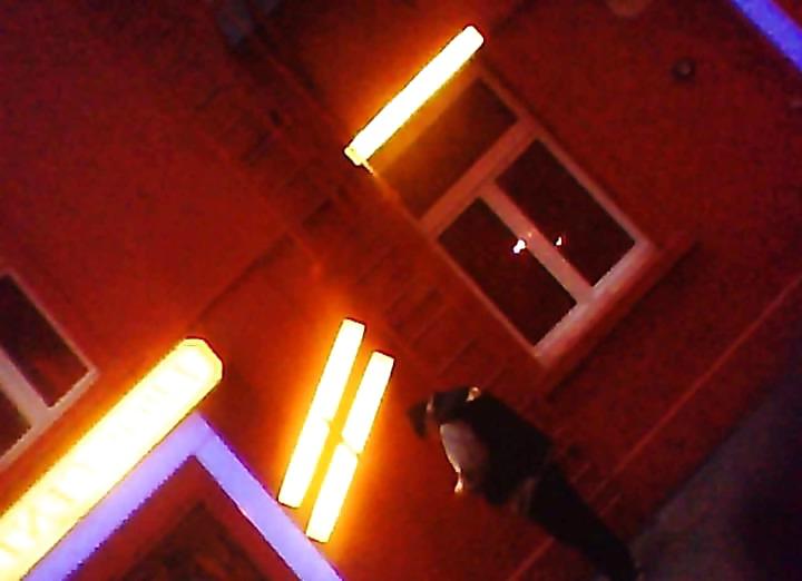 25P 15.11.2011 whorehouse frankfurt Elbestrasse 45