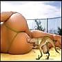 10P Funny