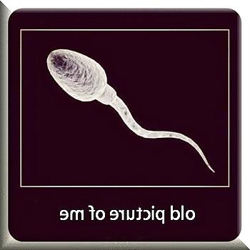 10P Funny