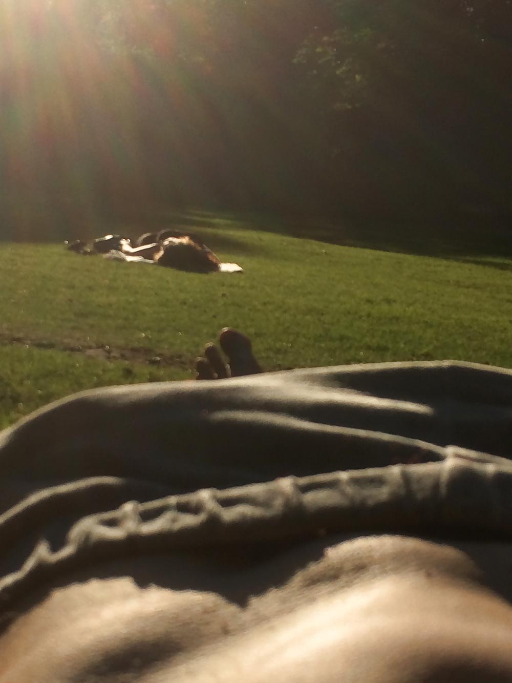 10P Chillin' in the Park