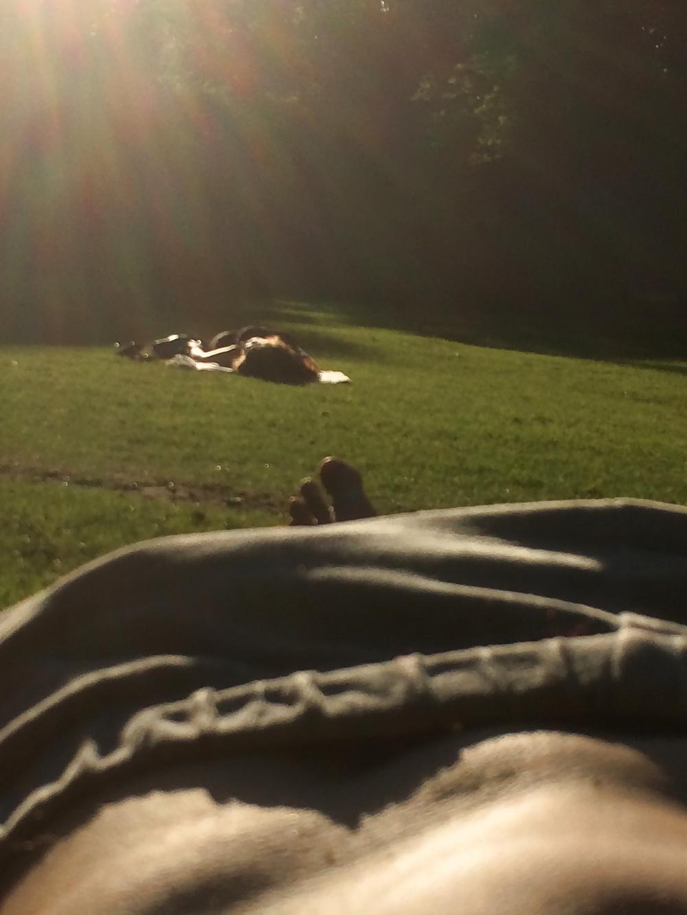 10P Chillin' in the Park