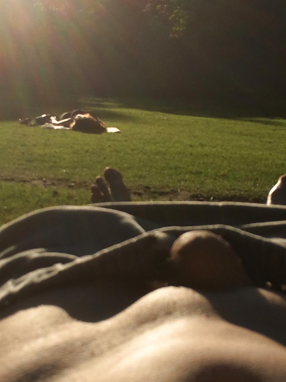 10P Chillin' in the Park
