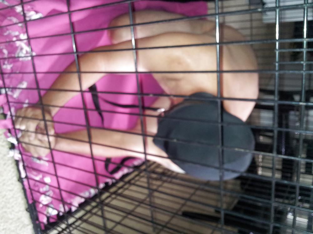 8P Puppy caged teased and fucked