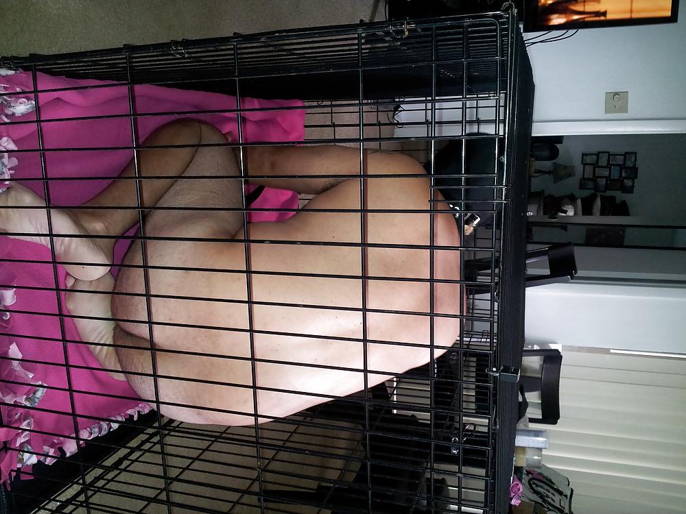 8P Puppy caged teased and fucked