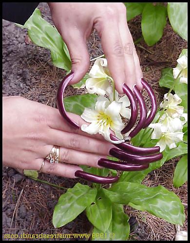 25P Long Fingernails