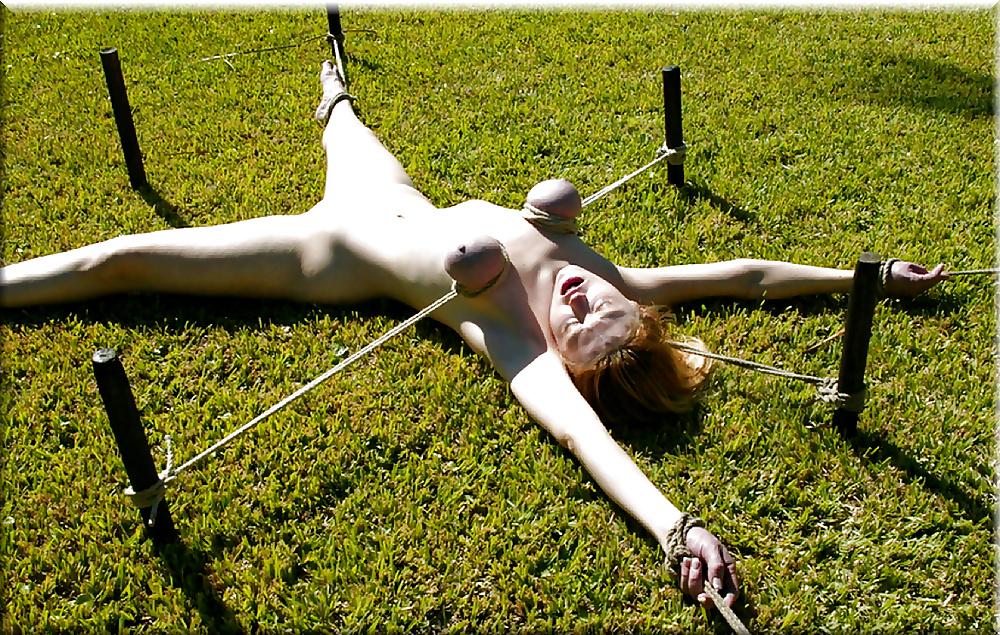 25P Lion's: Anatomy of the Breast-Torture (1)