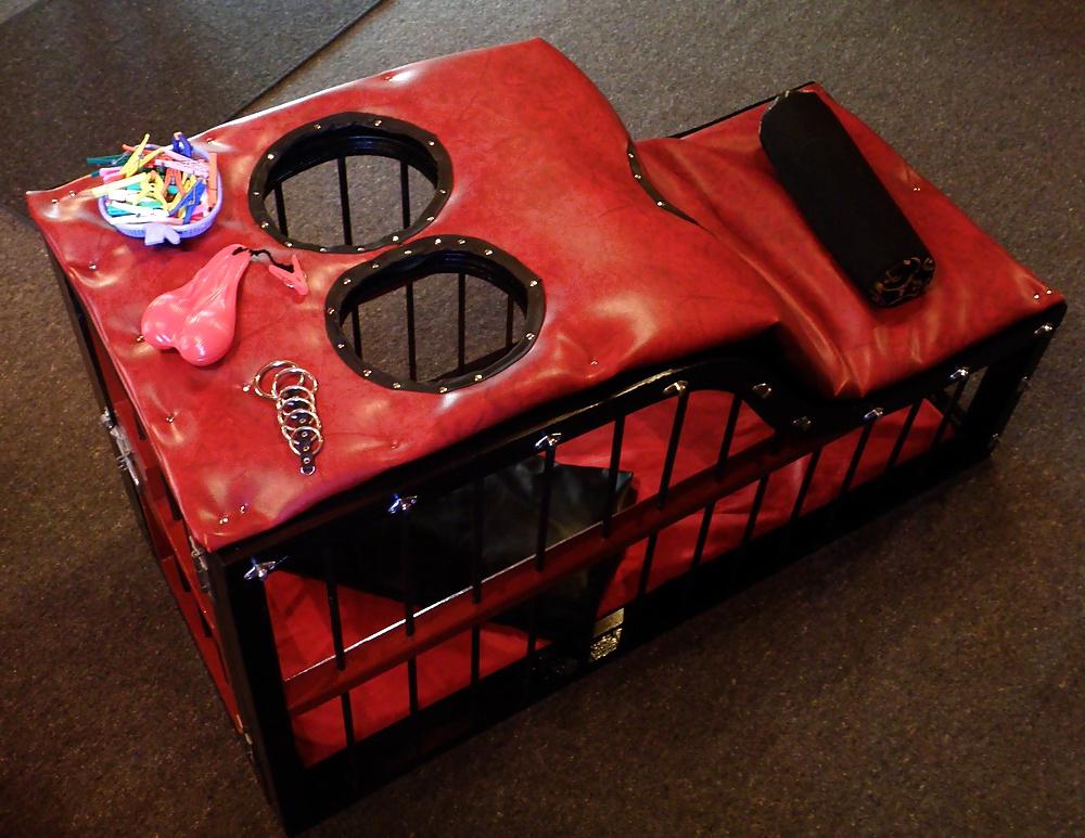25P CAGE