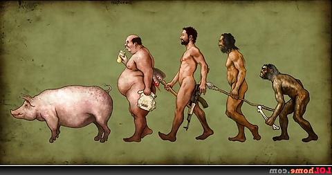 14P Cool & funny pics