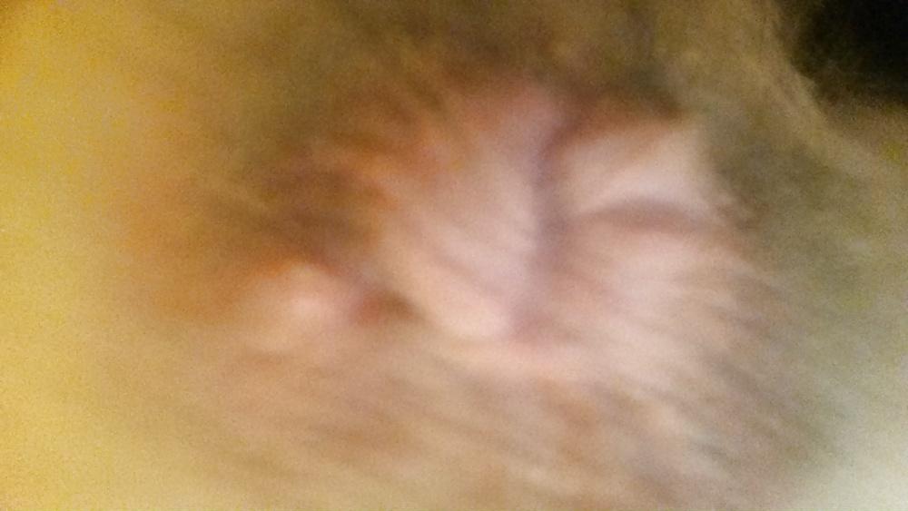 5P Asshole for cock. strait, gay, especially tranny.