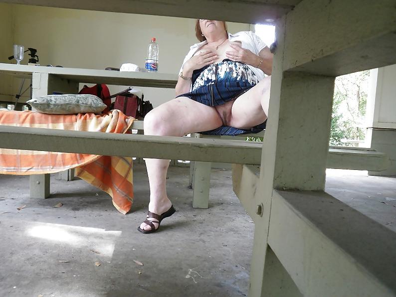 25P Some new holiday picnic scenes