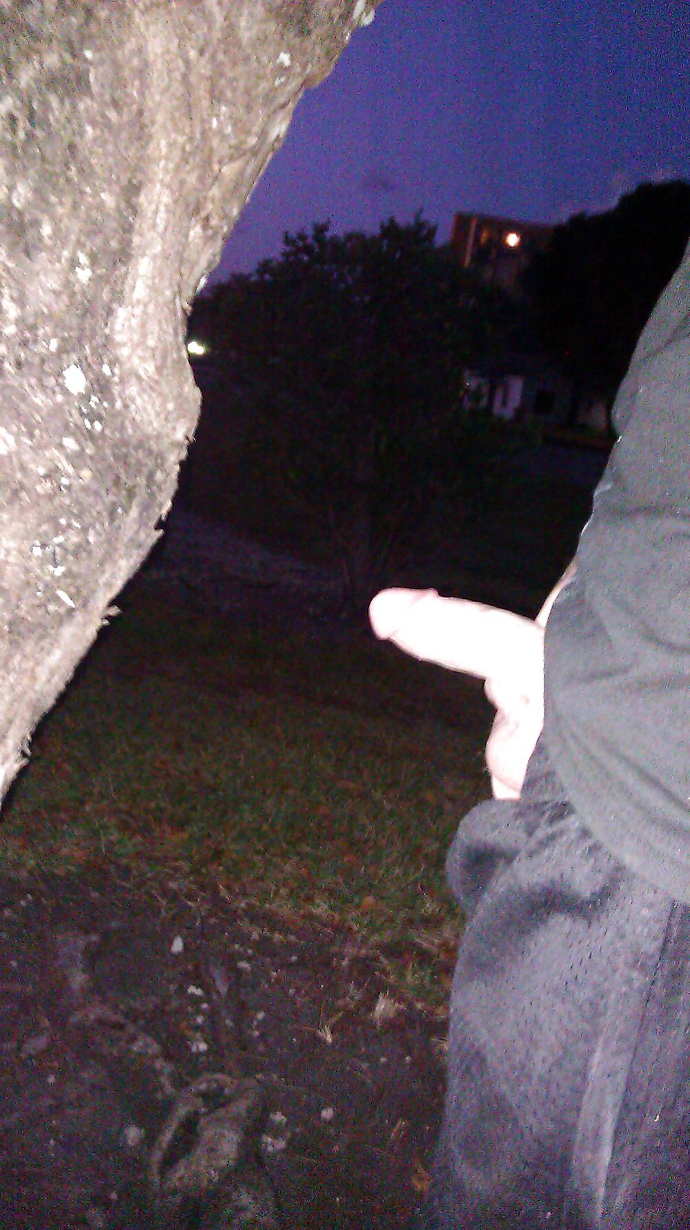 4P At the park
