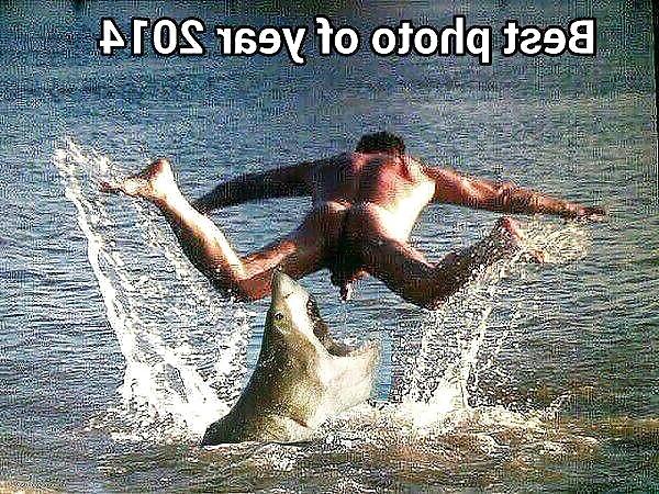 5P Funny pic