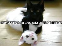 5P Funny pic