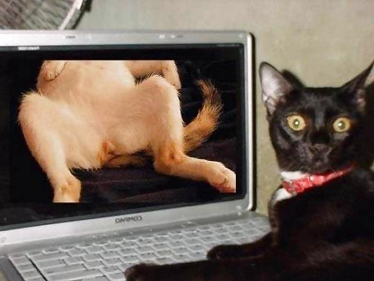 5P Funny pic