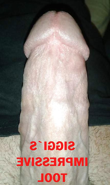 5P PENIS DICKS COCKS & GLANS THAT VISITED MY VAGINA
