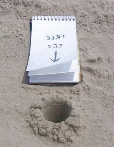 25P Funny Pictures