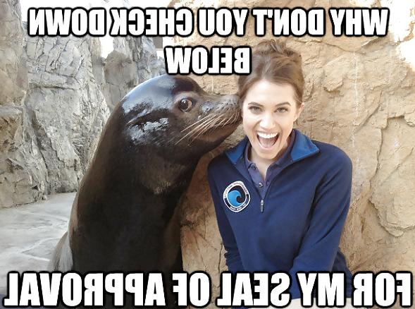 25P Mixed Funny and Sexy Quotes 4