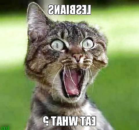 10P Funny stuff i like :D