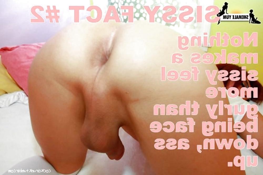 15P Crossdressers sissy captions 02