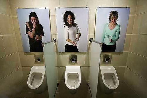 21P SPH Toilet Wallpaper or Mural