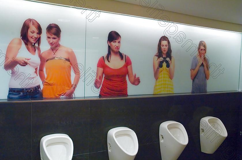 21P SPH Toilet Wallpaper or Mural