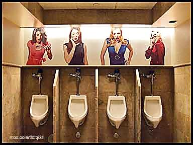 21P SPH Toilet Wallpaper or Mural