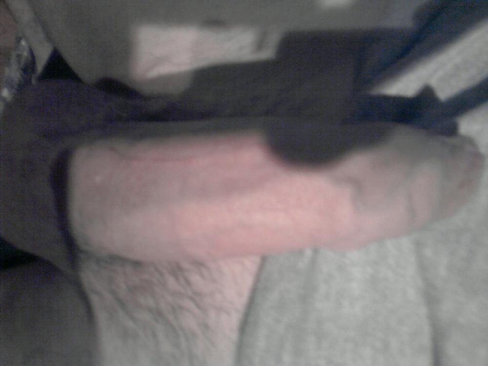 8P JUNIOR PENIS