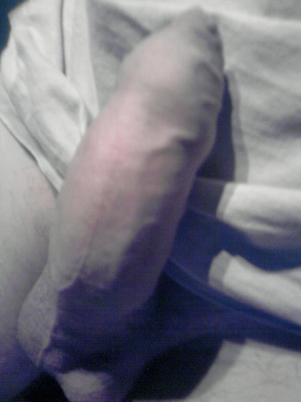 8P JUNIOR PENIS